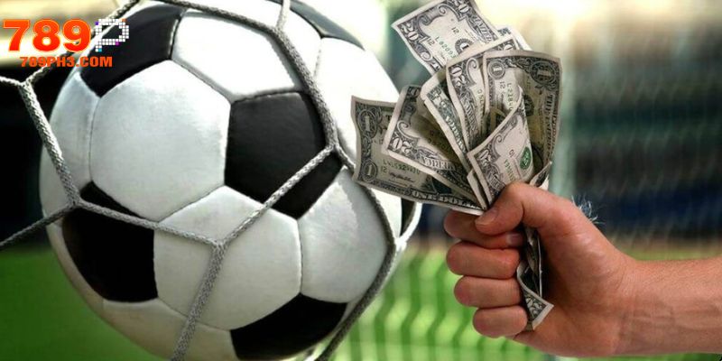 Lợi ích khi sử dụng nền tảng có giấy phép
